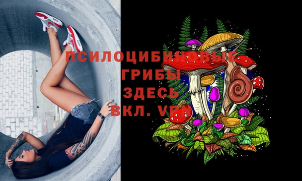герыч Богородицк