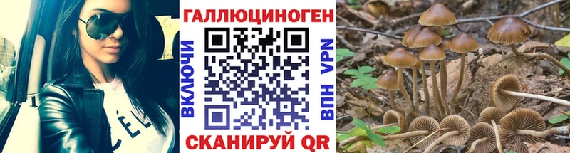 Псилоцибиновые грибы мицелий  Красный Кут 